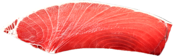 참다랑어 4번도로 참치회 참치 대뱃살, 1개, 1000g