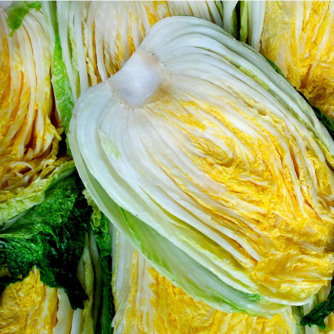 신선 해남 절임배추, 20kg, 1박스