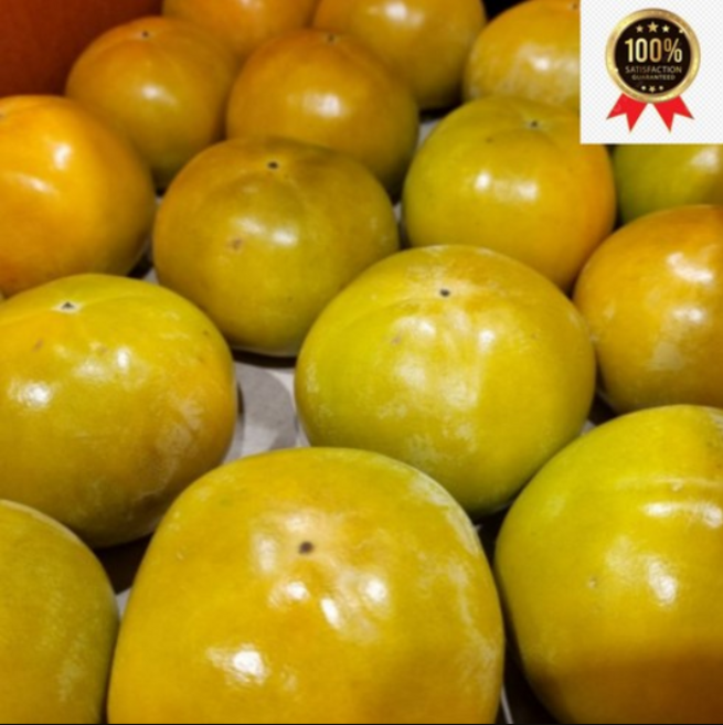 단감 부유 차량 아삭아삭 진영단감 못난이 단감, 1개, 못난이 단감 10kg