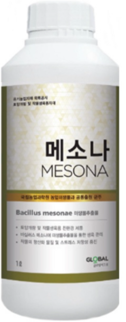 메소나 1L 고추 침수피해 예방 및 흡비력 향상 기능성 작물 영양제, 1개