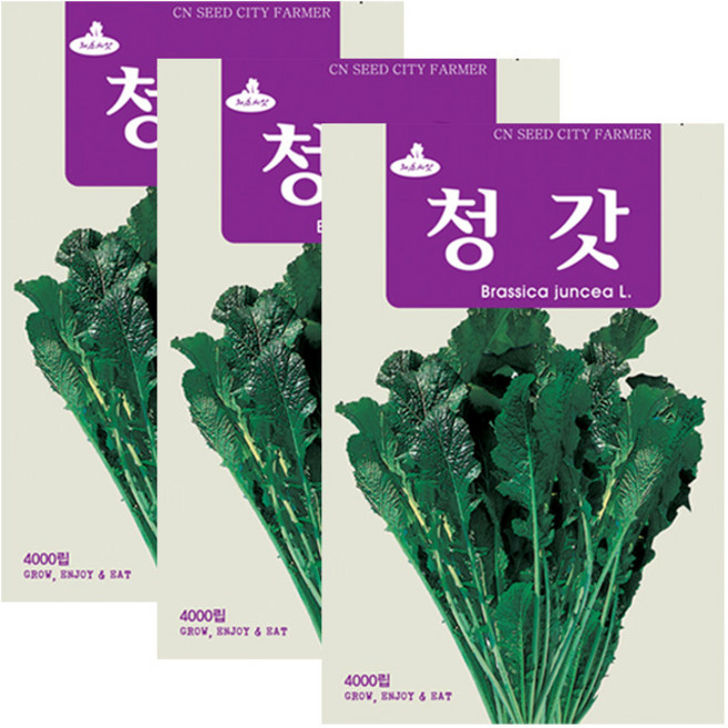 세인화분 청갓씨앗 4000립 김장갓 갓씨앗 채소씨앗 향과 맛이 우수한 청갓 씨앗, 3개