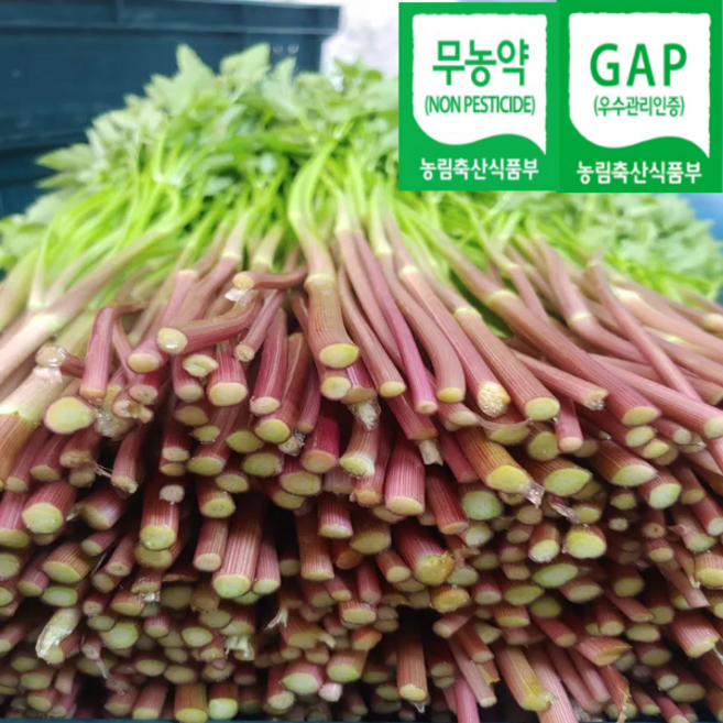 싱싱 청도 한재 무농약 미나리 특품 400g 800g, 1개