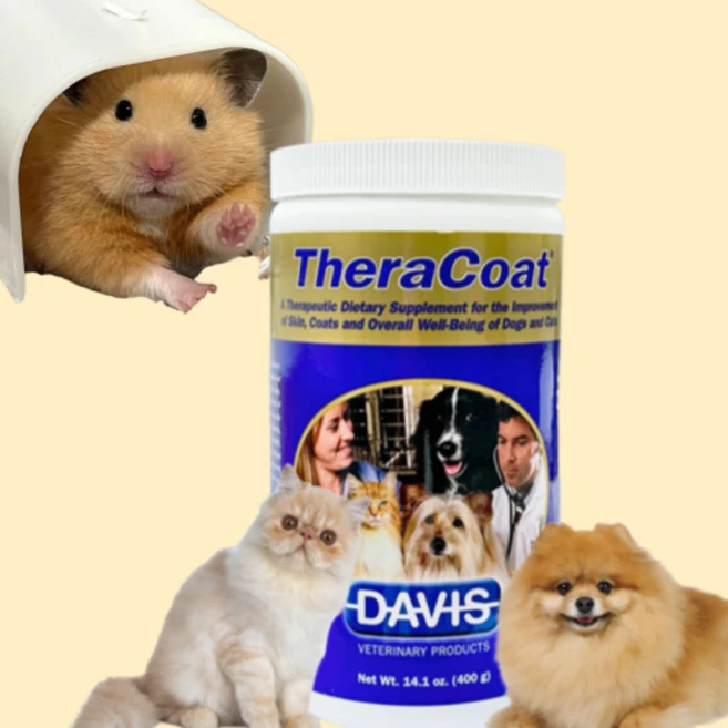 (소분) 미국산 성분 햄스터 털빠짐 고양이 강아지 털 영양제 데이비스 테라코트 소분, 피부/피모, 10g, 1개 - 쿠팡