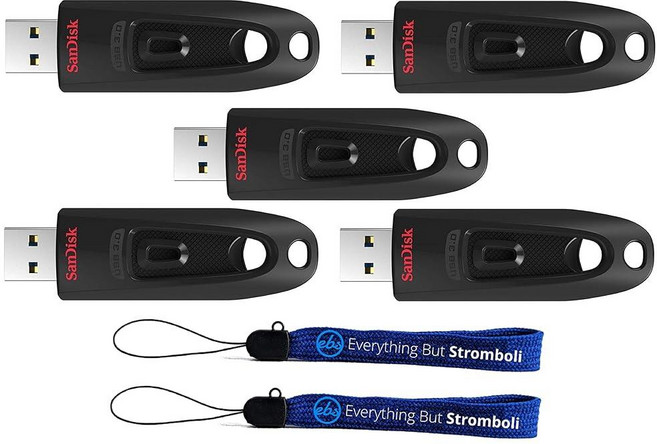 SanDisk 128GB 울트라 USB 3.0 5팩 매끄러운 휴대용 플래시 드라이브 (SDCZ48-128G-U46) 번들 Everything But Stromboli 랜야드, SanDisk 128GB 울트라 USB 3.0 5팩 매