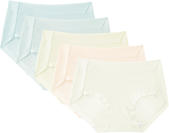 하바우 쿨 고탄력 실크 터치 하이웨스트 노라인팬티 5P