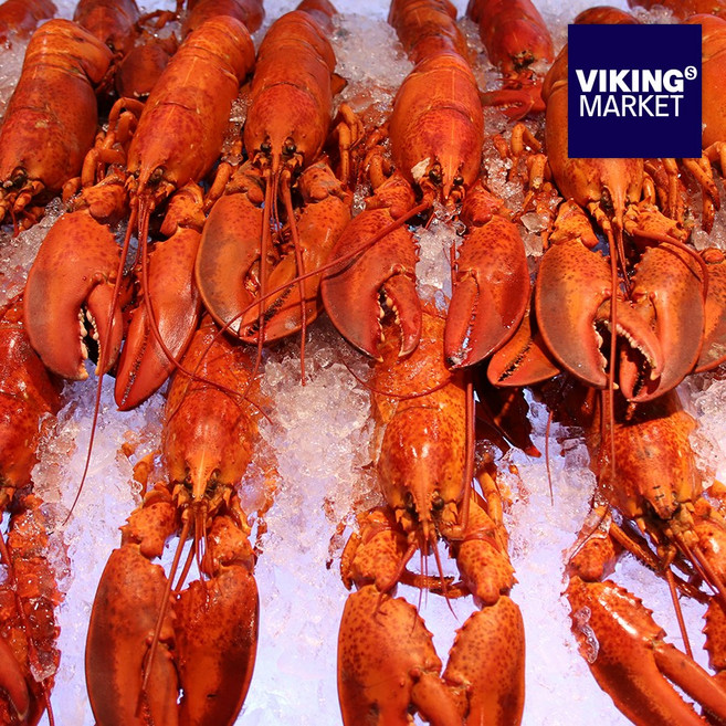 [바이킹마켓][무료배송] 항공 직송 냉동 캐나다 자숙 랍스터 10미, 1박스, 400~450g, 10미
