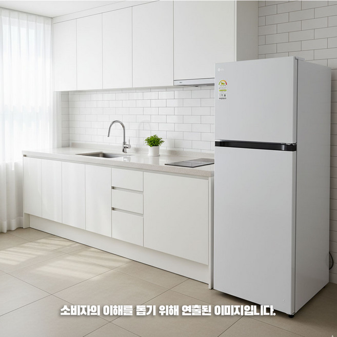 LG전자 B245W22 일반냉장고 243L 2도어 물류설치 신규입점특가 설치비무료 폐가전수거