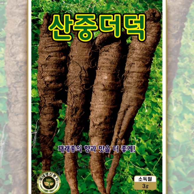 산중더덕 씨앗 재래종 향과 맛이 진한 국산 더덕 종자 3g ks, 1개