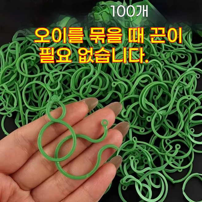 식물고정버클, 100개