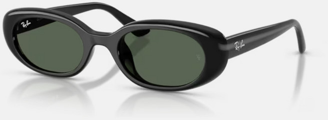 Ray-Ban雷朋 RB4441D 橢圓膠框太陽眼鏡