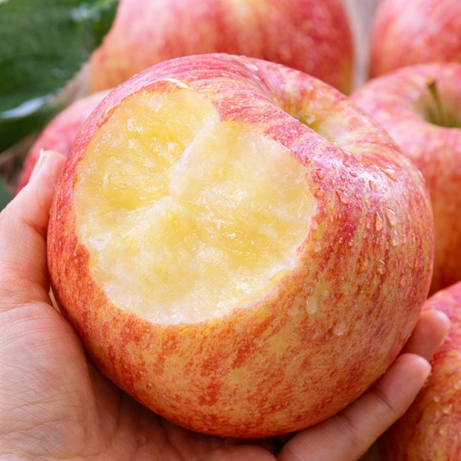 [당도선별]초고당도 경북 부사 사과 초특가, 1박스, 3kg