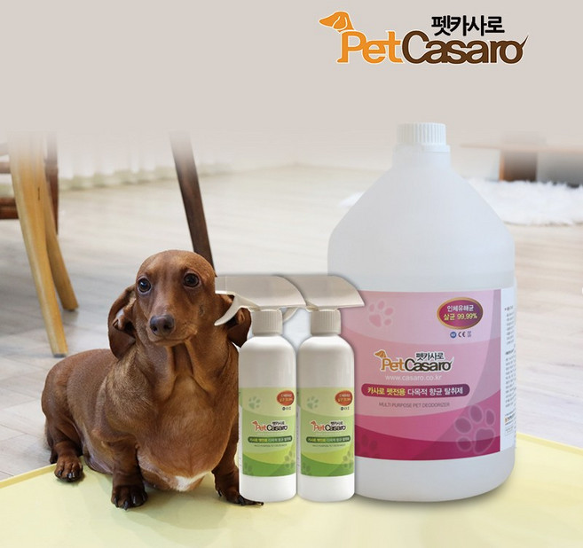 펫카사로 반려동물 친환경 살균소독제 무향 강아지 고양이 배변 모래 탈취제 스프레이, 2개, 450ml