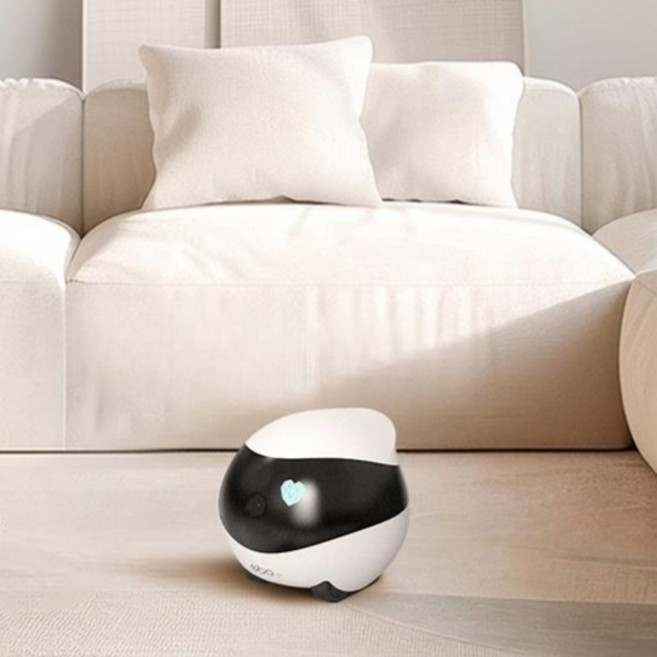 이동식 애완 펫캠 원격 화상통화 로봇, 1세트, Ebo SE 스탠다드