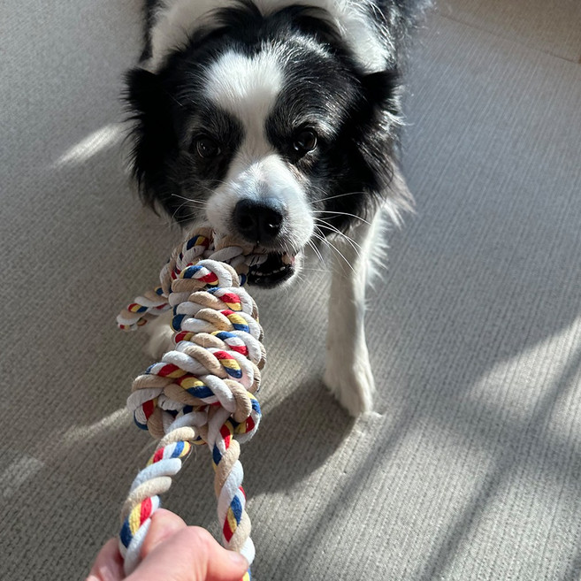 오늘도구름상회 강아지 이중매듭 로프 터그놀이 대형견 장난감, 1개, 혼합