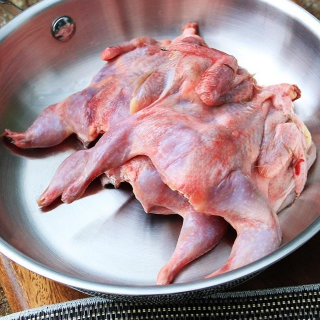 전북 진안 무항생제 메추리 20마리 메추라기 메추리구이, 1개, 1.5kg 내외