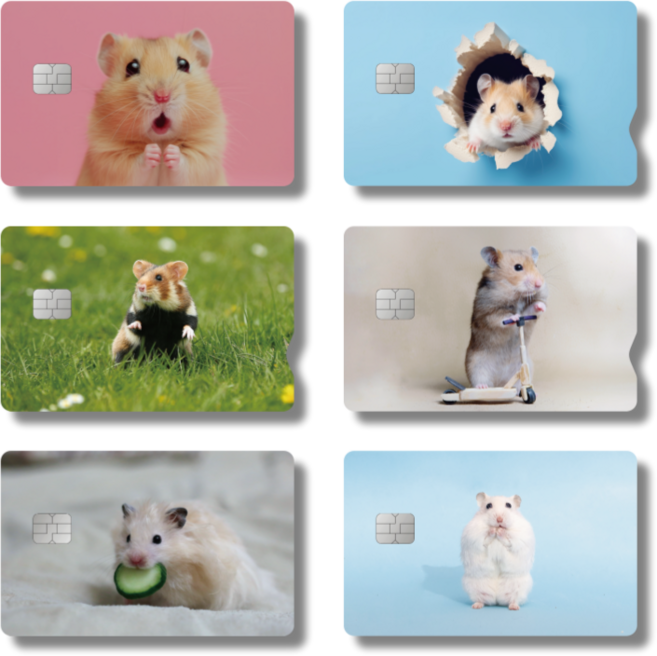 2SET 햄스터 카드 스티커 신용 체크 교통 꾸미기 귀여운 커스텀 카꾸, 1세트, 2개입, 일반형