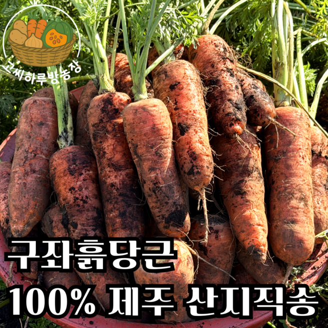 [고씨하루방농장] 제주명품 햇당근 구좌흙당근, 1박스, 10kg (중)
