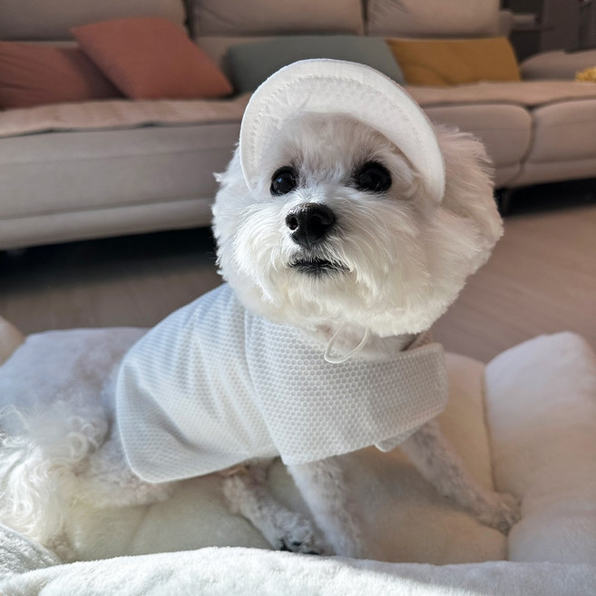 스카이몰 폼포미 메쉬 썬캡, 1개, 화이트