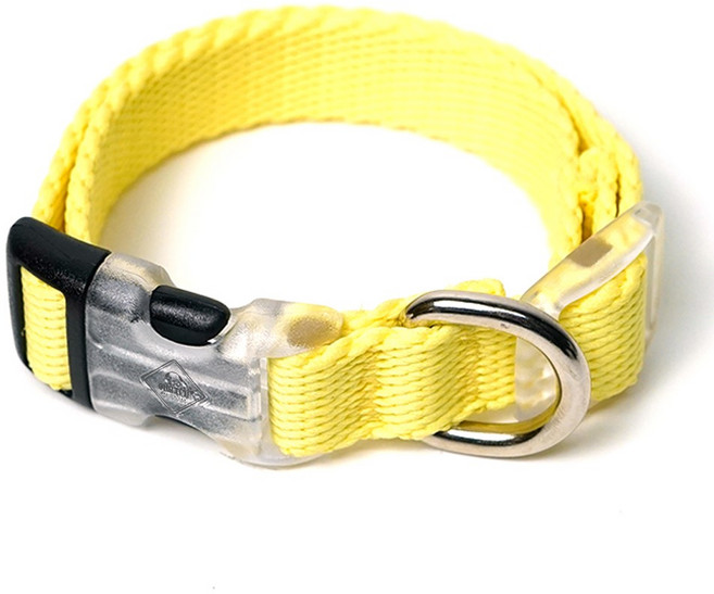 아띠지기 반려동물 웨빙 목줄, 프리지아, 1개