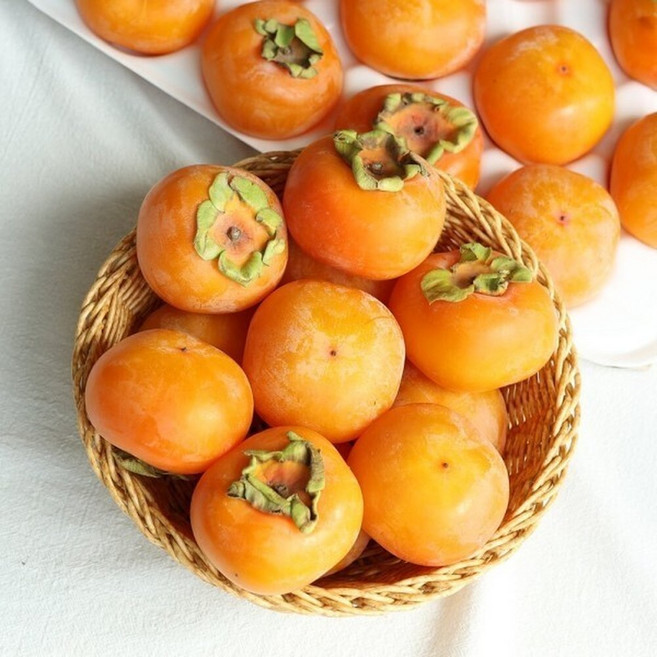 고당도 씨없는 홍시 산지직송 청도반시, 1개, 5kg (대과)