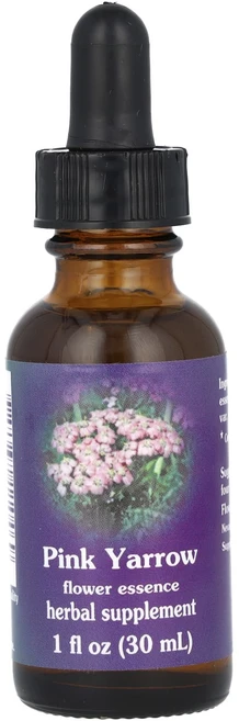 몸관리하세요 겨울입니다 Flower Essence Services 핑크 서양 톱풀 플라워 에센스 30ml(1fl oz) 특별관리진행, FlowerEssenceServices핑크서양톱풀플라워 - 쿠팡