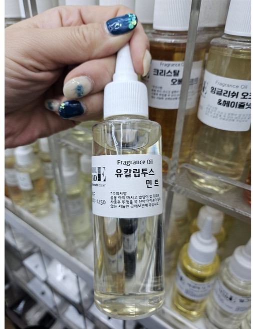 [캔들메이드]국내산 프리미엄 프레그런스 오일 100ml, 1개, 유칼립투스민트