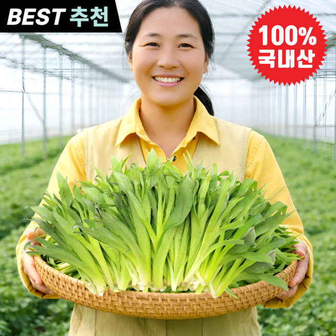 [당일선별]국내산 영양가득 원추리나물 봄나물, 1개, 500g