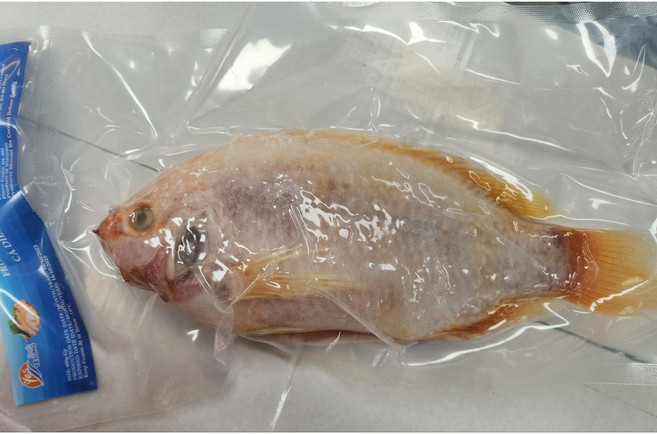 베트남 냉동 레드 틸라피아 1P (작은 홍 500g이상), 1개, 5봉지