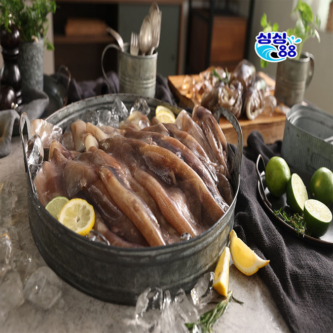 [싱싱88] 홈쇼핑 입점 손질 통통 오징어 20미, 10개, 220g