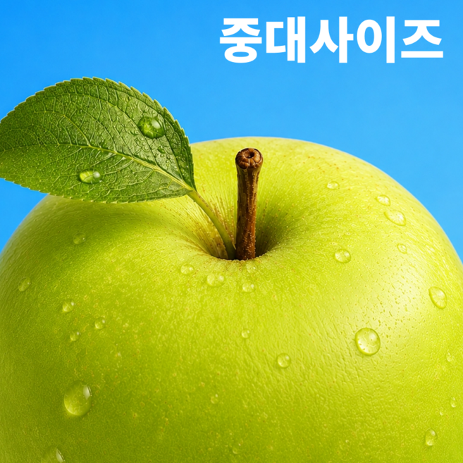 [제철과일특가] 청사과 아오리 가성비시나노 사과, 1세트, 2kg (중대)