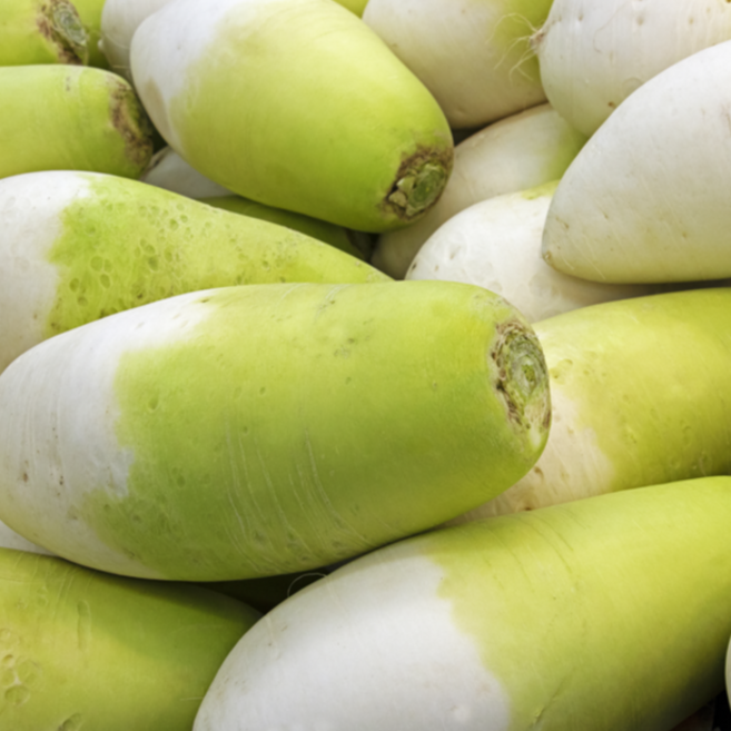 해풍 맞고 자란 노지 제주 월동무 (대용량) [원산지:국산(제주특별자치도)], 1개, 2kg