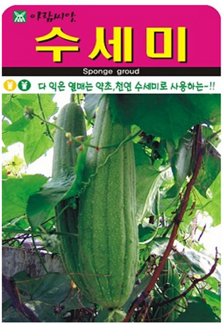 흙닷컴 수세미씨앗 20립 꽃씨앗 천연 수세미 약초씨앗, 1개