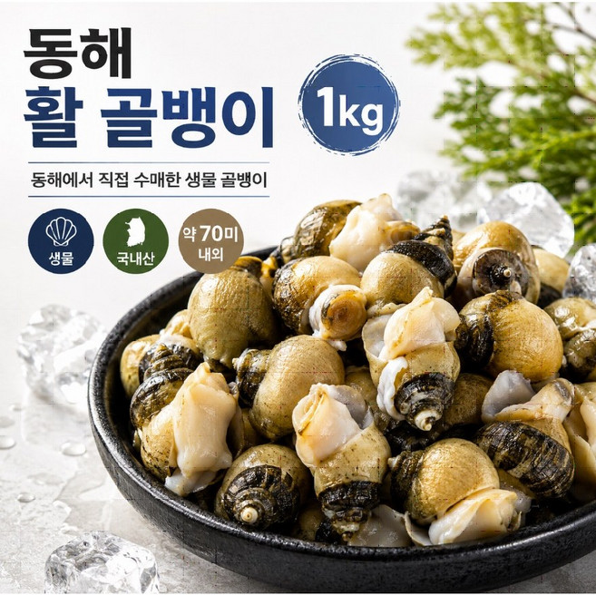 동해안 국내산 생물 활 골뱅이 3kg 산지직송 자연산 골뱅이, 1개, 3kg 내외