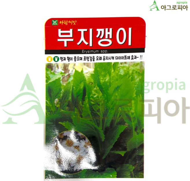곰취 곤드레 곤달비 어수리 눈개승마 산마늘 부지깽이 취나물 참나물 고들빼기 방아 냉이 곰보배추 씀바귀 신선초 산나물 재래나물 씨앗 씨 종자, 부지깽이 100립, 1개