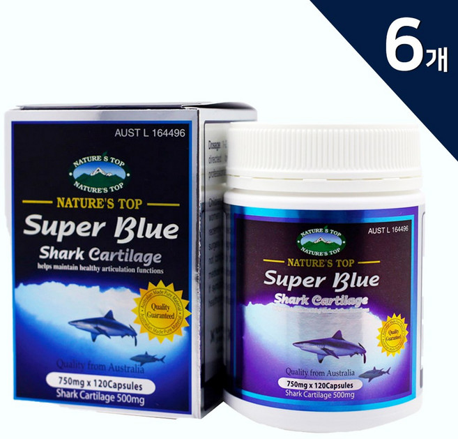 네.이.처.스.탑 슈퍼블루 청상어연골 750mg 콘드로이친 콘드로이틴 뼈 연골 관절 선물추천, 6개, 120캡슐