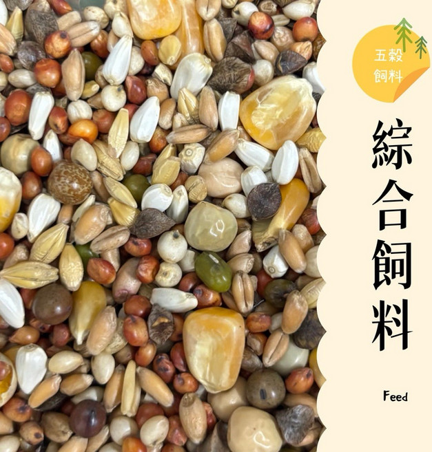 五穀糧倉 綜合飼料 600g 倉鼠飼料 鳥飼料 鴿子飼料 鸚鵡飼料, 1個, 600克