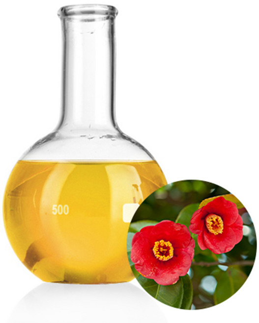 동백오일[정제] / 동백유 100ml, 1개