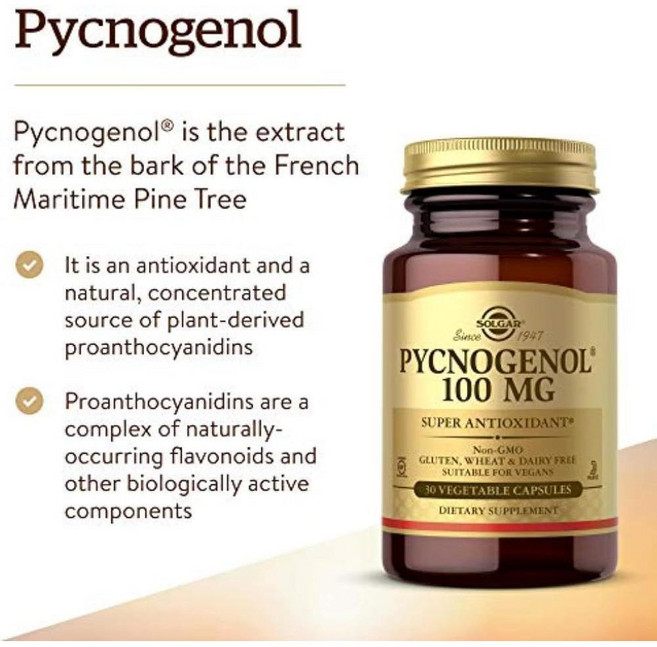 솔가 Solgar 피크노제놀 100mg 30정베지 프랑스해상소나무껍질추출 리틀약사, 1개