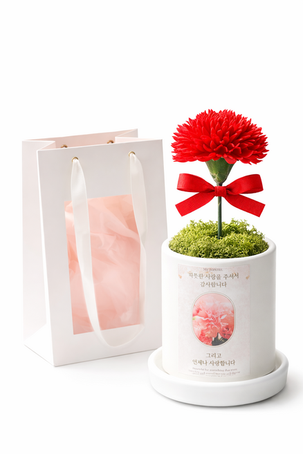몽실이네 어버이날 카네이션 비누꽃 화분 선물세트 스칸디아모스 감사선물, 1개, 단일