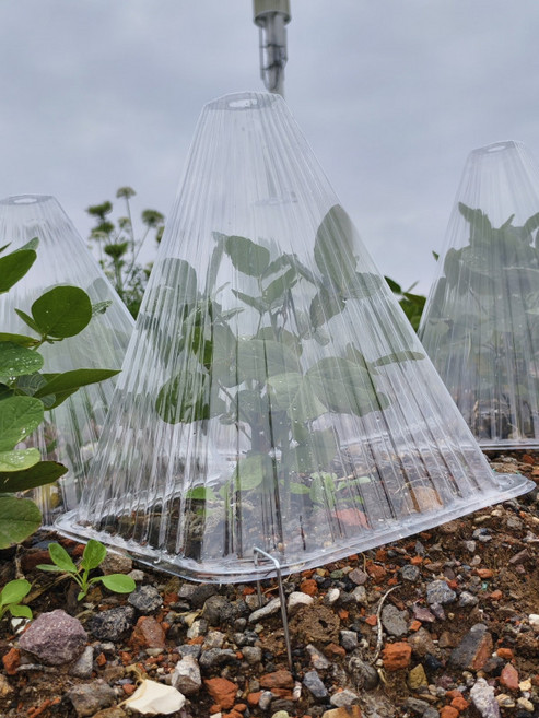 모종 보호 덮개 초대형 온실 비닐하우스 정원 해충 조류 방지 메쉬 재사용 가능 U형 접지 핀 20개