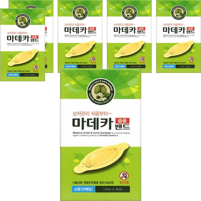 동국제약 마데카 습윤밴드 6매입, 6개