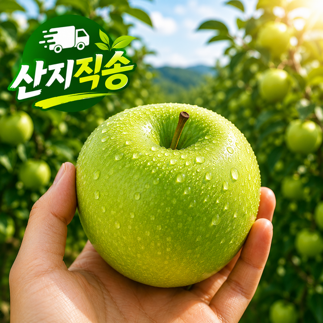 [하루 50 box 한정] 산지직송 청사과 썸머킹 아오리사과, 1박스, 5kg
