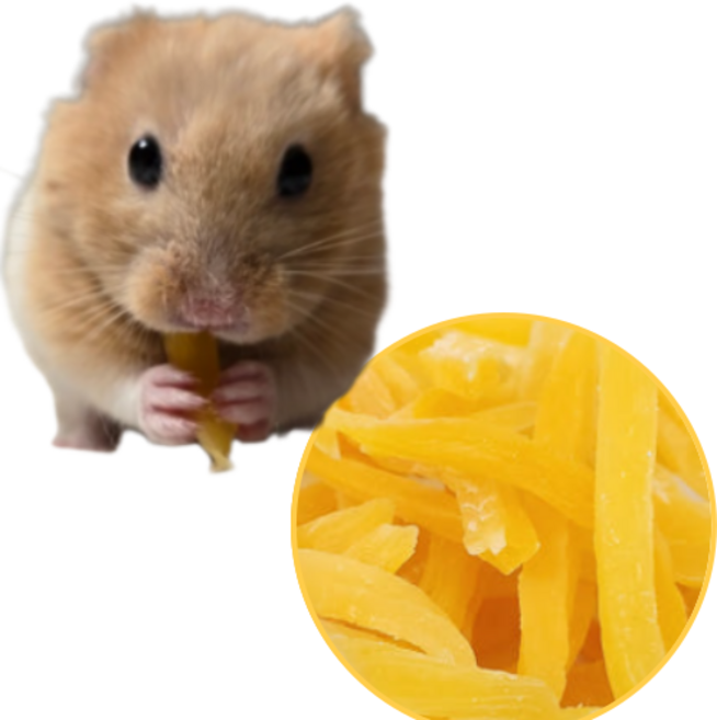 햄스터 고구마 말랭이 간식 자연간식 골든햄스터 슈가글라이더 토끼 고슴도치 기니피그 간식 이갈이, 1개, 50g