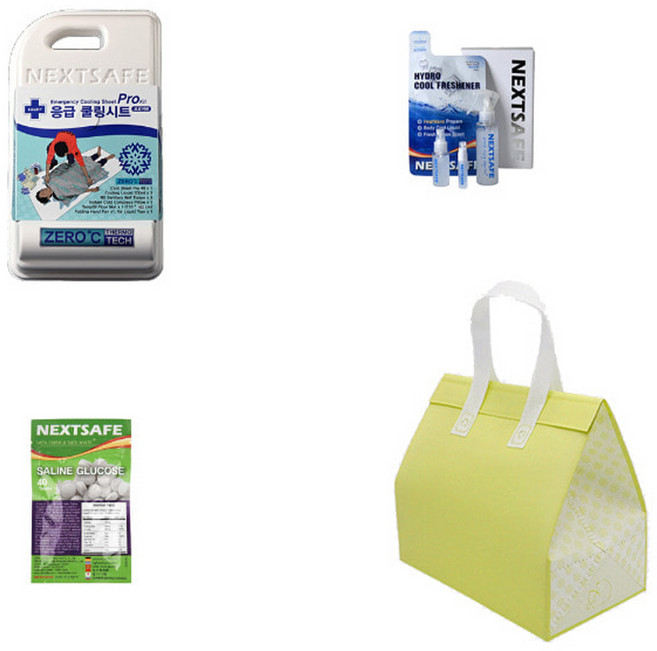 주문제작 21 폭염특보 산업안전보건 온열질환 폭염응급키트 CTBDG 프레쉬너 B 시트프로D 포도당G, 1개
