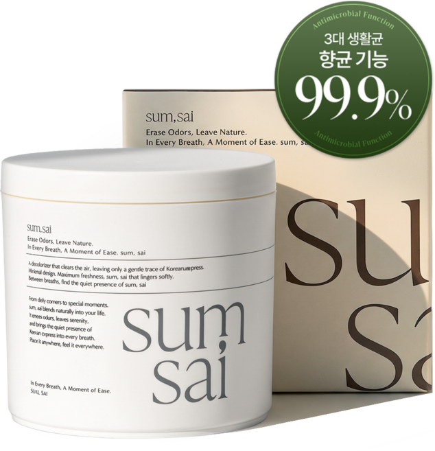 숨사이 편백 실내 탈취제, 300g, 1개