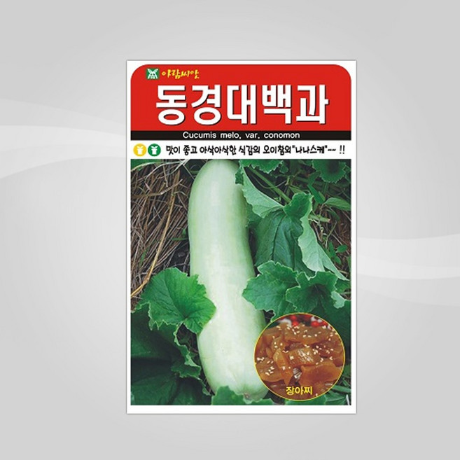 슬로시 슬로시 열매 씨앗 고추 토마토 콩 씨 종자, 1개