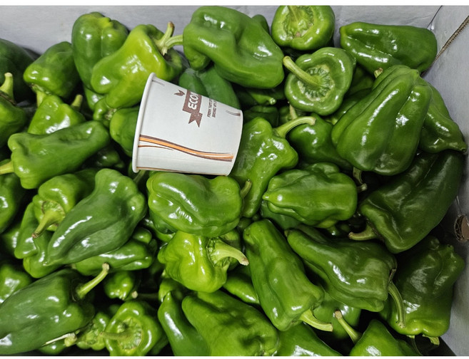 약수농장 국내산 청피망 10kg (보통) 작은사이즈, 1박스