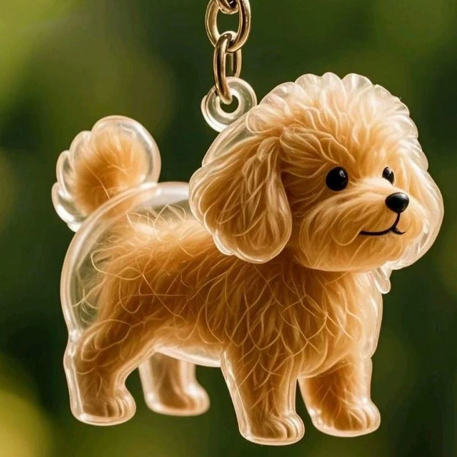 디에르니 강아지 털 보관 키링 투명 캡슐 반려견 펫로스 메모리얼 키홀더, 2개, 푸들st