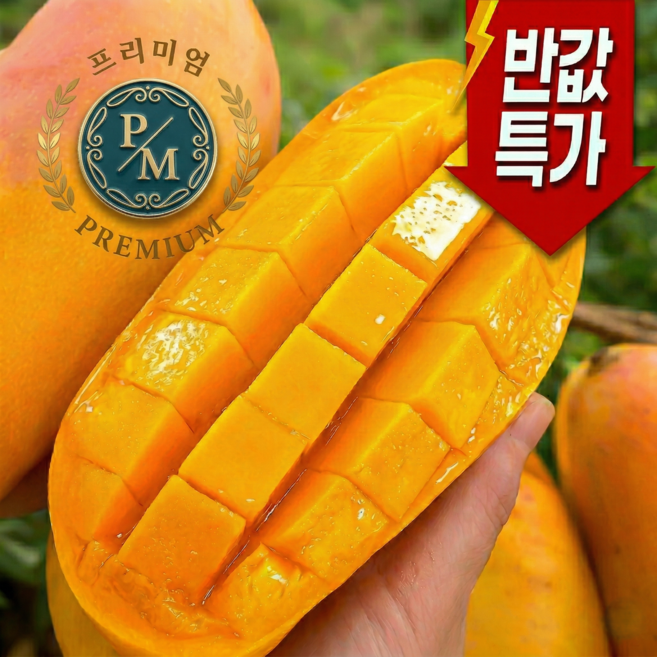 [백화점납품]프리미엄 딱100박스만 초고당도 마하차녹 골드망고, 1박스, 1kg (2-3과)