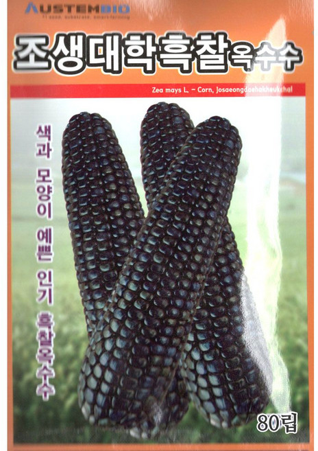2025 씨앗 조생대학흑찰 옥수수 kal*06171Wt, 1개